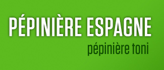Logo Pépinière Espagne, Pépinière Toni Alcanar